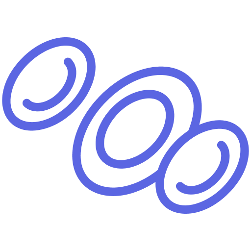 Peripheral Neuropathy